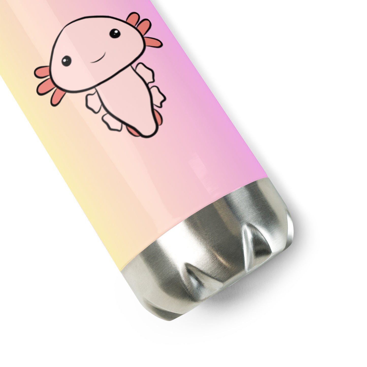 Stainless steel water bottle