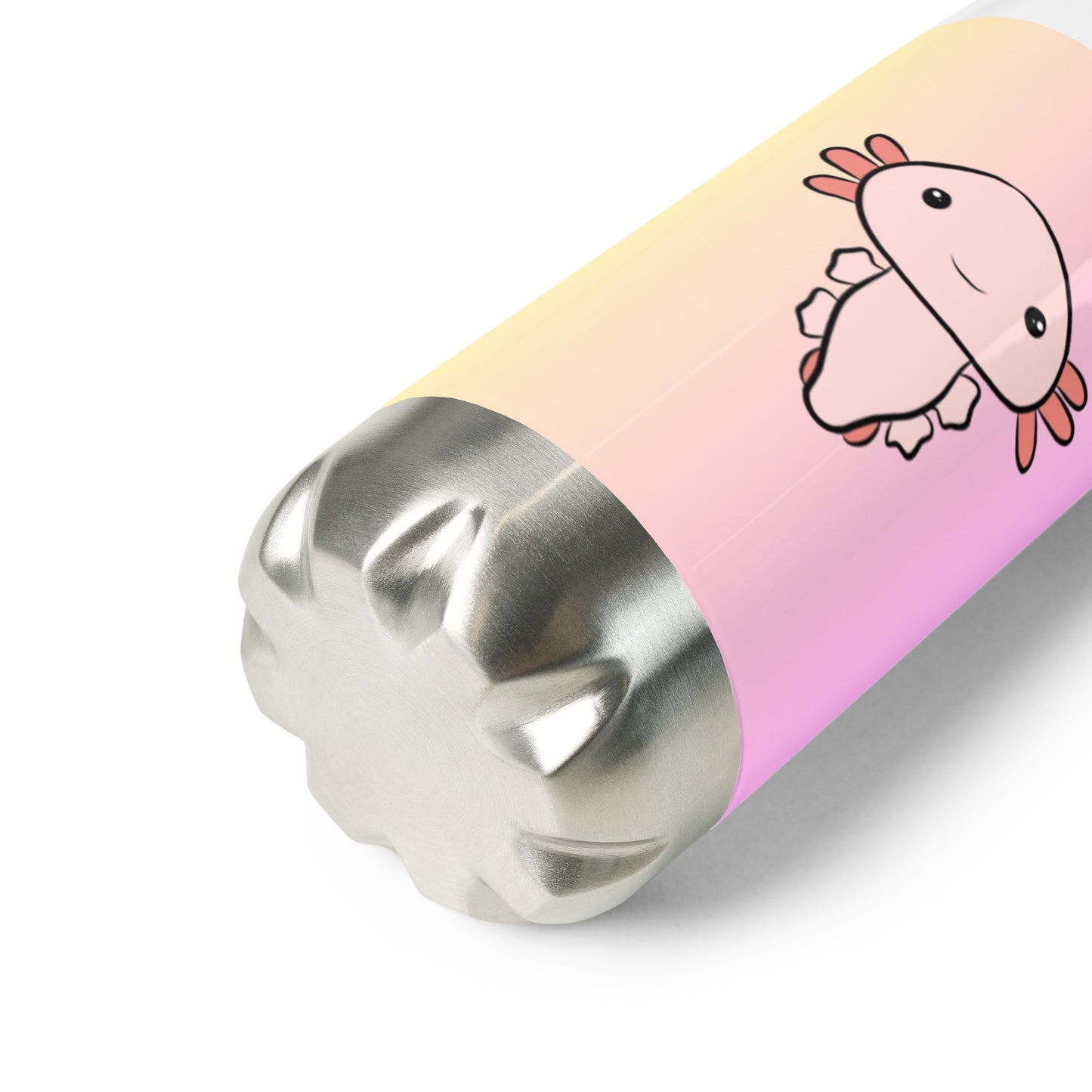 Stainless steel water bottle